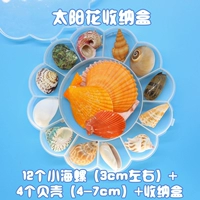 Коробка для хранения на солнечной энергии