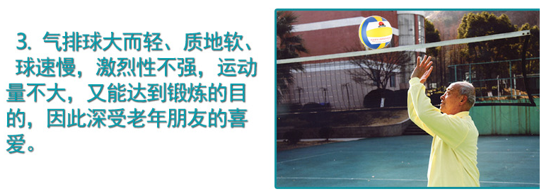Ballon de volley-ball - Ref 2010361 Image 8
