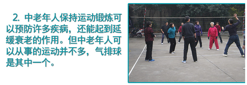 Ballon de volley-ball - Ref 2010361 Image 7