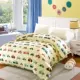Chăn bông đơn mảnh 1,5m1,8 m đôi 200x230 sinh viên ký túc xá phim hoạt hình 100% bông bìa
