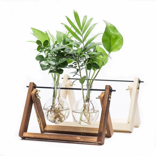 Творческая деревянная полка гидропонные зеленые растения Внутреннее зеленое растение зеленое горшок маленький стеклянный ваза офис на рабочем столе украшения