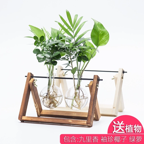 Творческая деревянная полка гидропонные зеленые растения Внутреннее зеленое растение зеленое горшок маленький стеклянный ваза офис на рабочем столе украшения