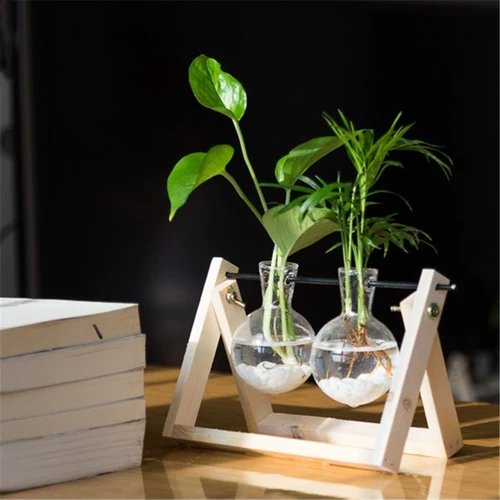 Творческая деревянная полка гидропонные зеленые растения Внутреннее зеленое растение зеленое горшок маленький стеклянный ваза офис на рабочем столе украшения