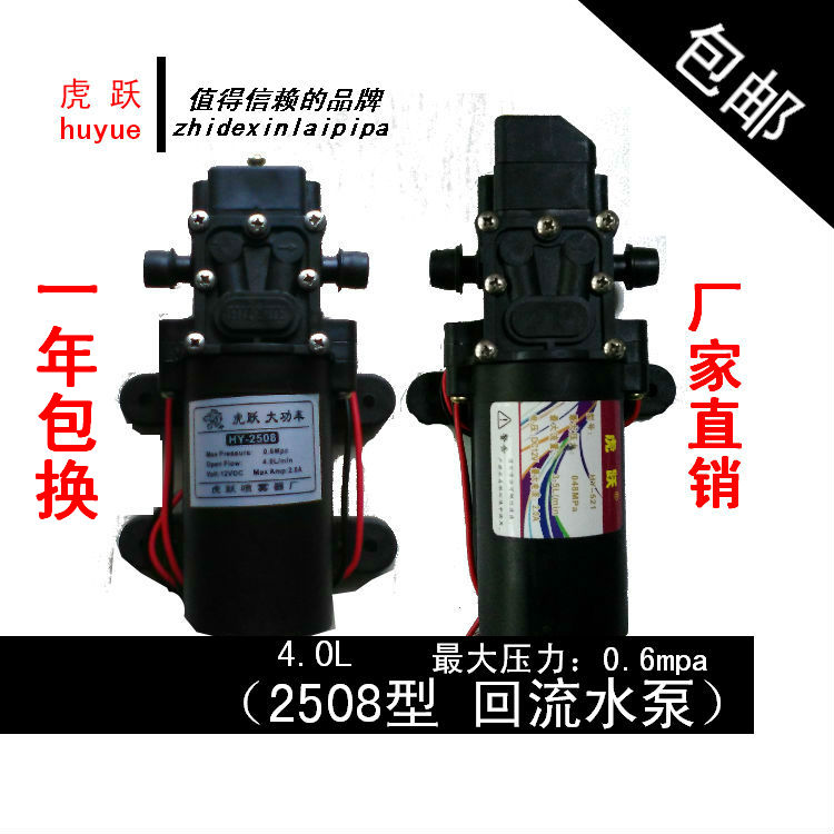 12v Water Pump Intelligent Diaphragm Multifunction High Power Car Wash Spray Powder Spray Pump Motor Electric Sprayer Accessories