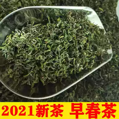 Rizhao green tea 2021 new tea spring tea Shandong bulk open-air authentic chestnut fragrant tea 500g special grade