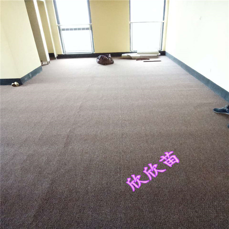 Vòng đống thảm bình thường văn phòng mật độ cửa hàng phòng hội nghị cho các nhà máy thảm thảm xưởng nhà máy có thể vỉa hè Thượng Hải - Thảm thảm nằm cho bé
