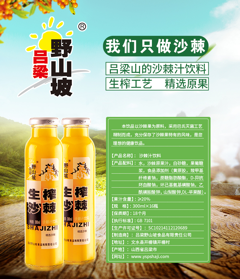吕梁野山坡 野生沙棘 果汁饮料 300ml*8瓶 高营养 图1