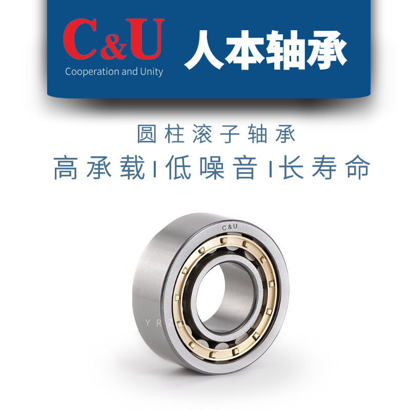 Human BenII Cylindrical Roller Bearings NU2212 2213 2214 2214 2216 2216 2218 221EM