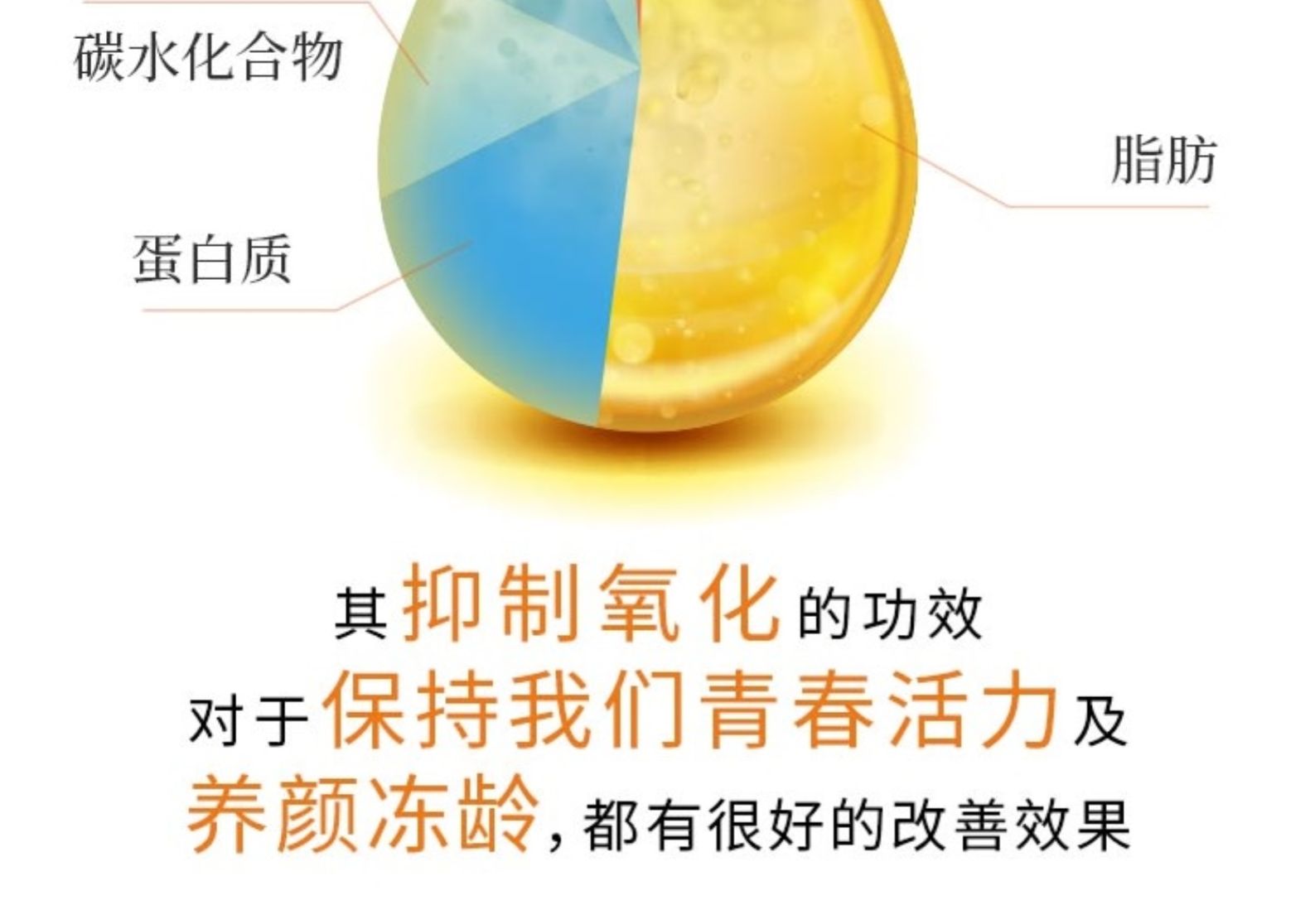 日本三得利 小金粒 芝麻明EX 270粒 抗压神器 图6