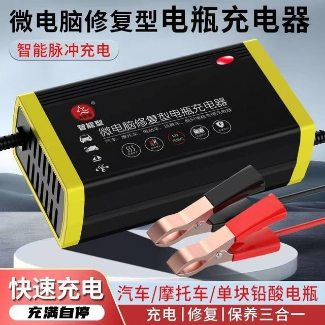 12V battery charger intelligent repair
