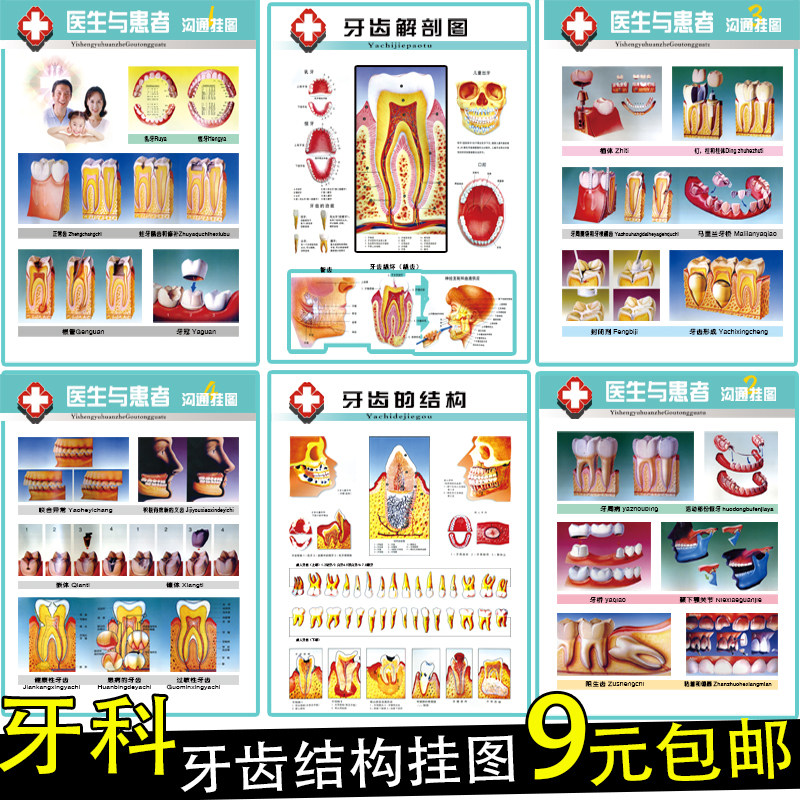Dental poster poster picture poster poster painting of the Outpatient Oral Knowledge of the Hospital Oral Clinic
