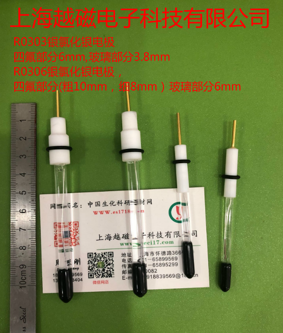 R0303氯化银电极  R0306银 氯化银电极Ag/Agcl参比电极 可拆卸