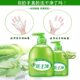 Aloe Vera Hand Sanitizer 500g Natural Fragrance Rich Foam Cleansing Spray Household Bottle