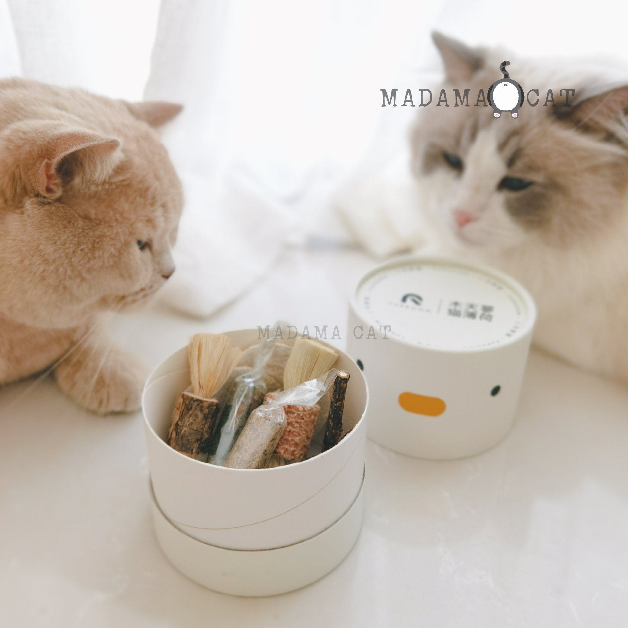 MADAMA CAT Gift Box to the cat ~ cat mint wood days Citron Silk Melon cat grits nibble the tooth cleaning suit