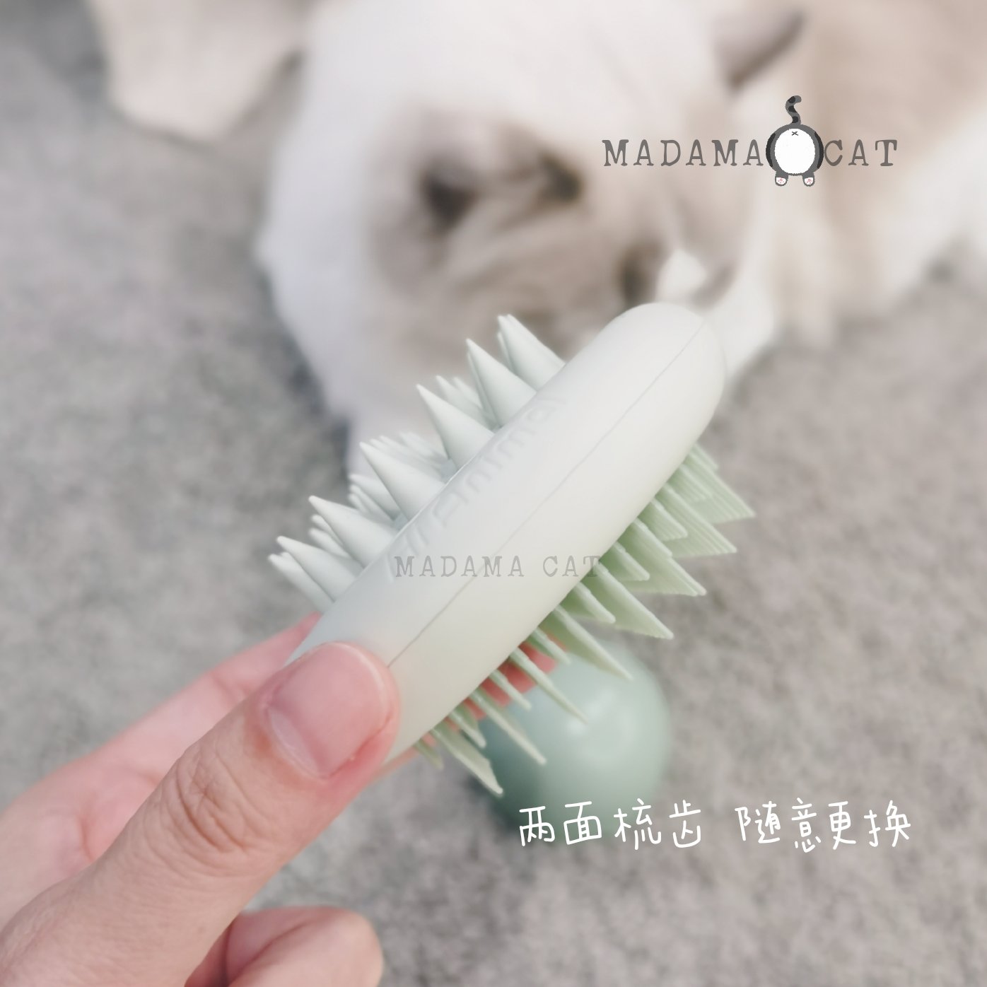 MADAMA CAT Space series Cat Comb ~ Cat Massage Comb with Cat Open-knot bifacial comb to flick hair