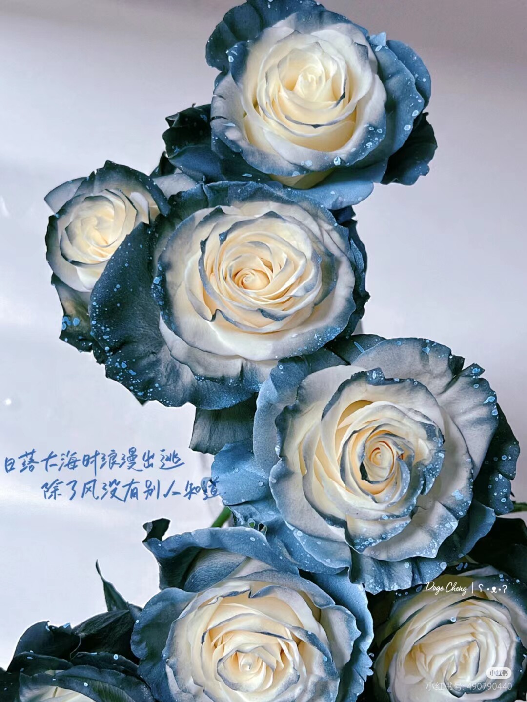 花儿开了的LOGO