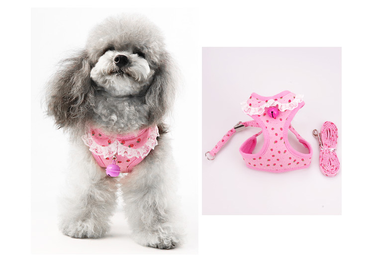 Chó xích chó nhỏ và trung bình Teddy VIP Bomei chó xích áo dây đeo ngực hơn gấu chó xích mèo - Cat / Dog hàng ngày Neccessities 	khay đựng thức ăn cho mèo	