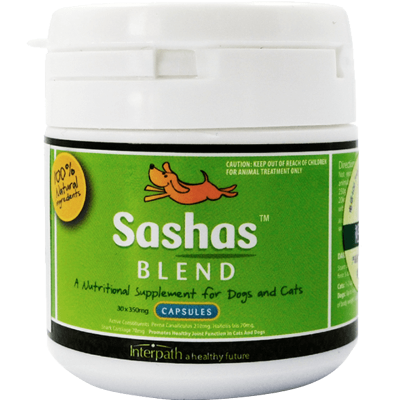 Chai Dog Hip Hop Australia Imports Sashas Sasha Joint Lingering Puppy Bones Protection Developmental Health Products