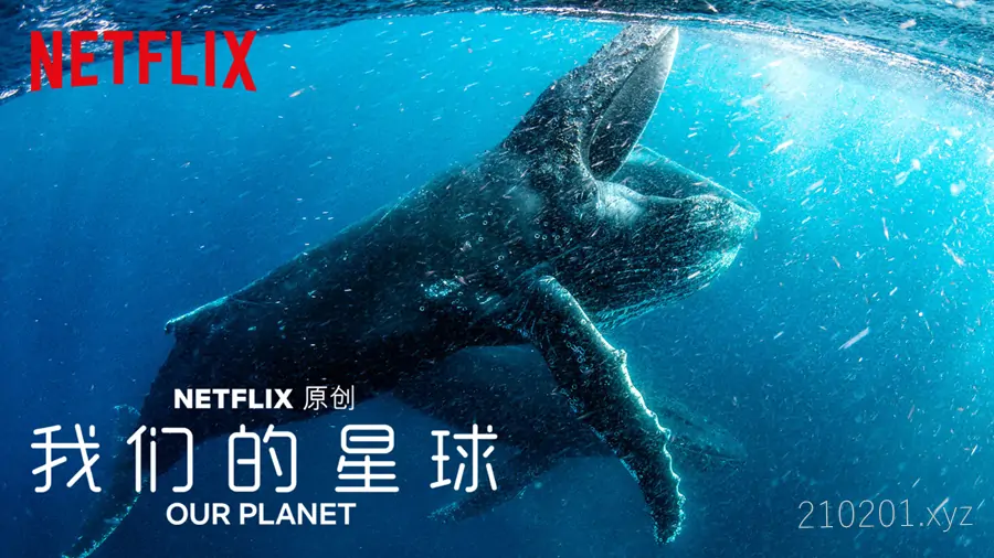 我们的星球（Our Planet）.webp