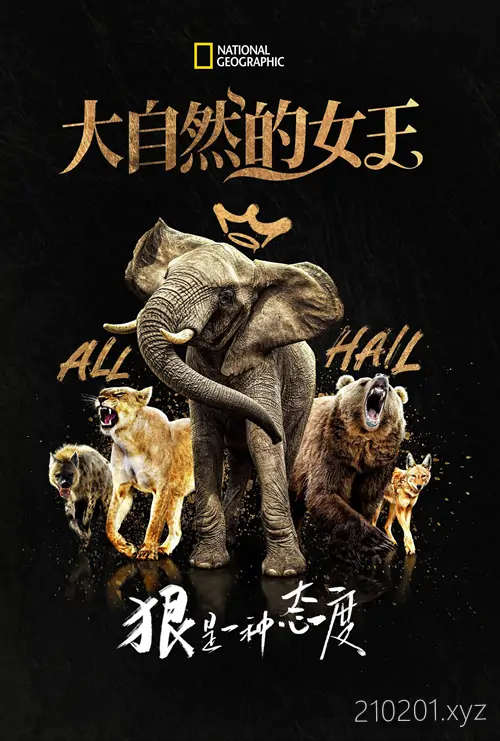 《大自然的女王》纪录片高清视频全集在线观看下载