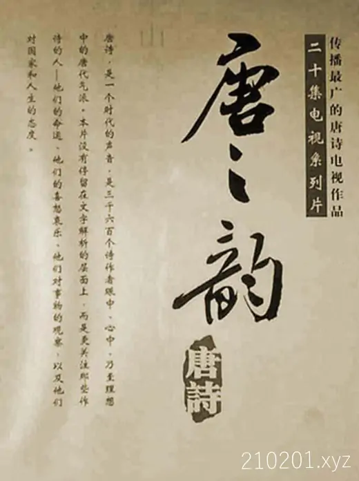 《唐之韵》纪录片全20集完整版下载