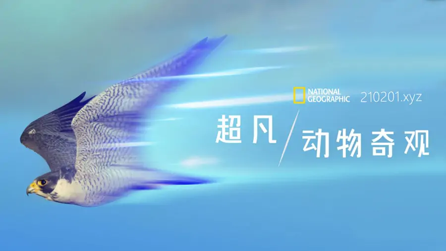 《超凡动物奇观》纪录片高清全集免费观看下载