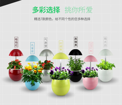 iGrow plant egg flower fruit and vegetable hydroponic soilless personality high-end desktop planter LED table lamp smart indoor