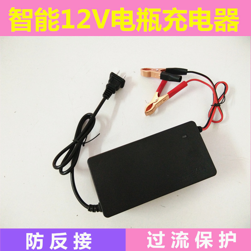 Smart 12v Pedal Motorcycle Battery Charger Universal Lead-acid Accumulator 12V Repair Charging Motor Accessories-Taobao