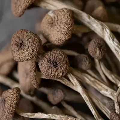 Hailing Mountain Zhen Qingchuan mushroom farm self-produced dry tea mushroom open umbrella tea mushroom 250g(500g