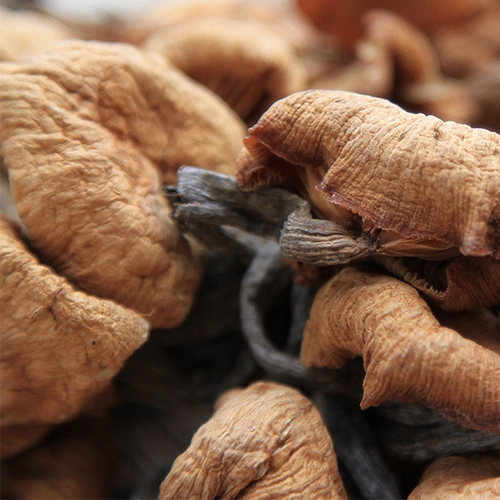 Hai Lingshan Zhen | Qingchuan Qinggang 100G Wild Green Barrobacteri