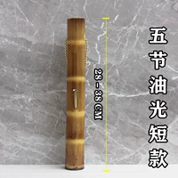 Свет и масляная пятая секция короткая