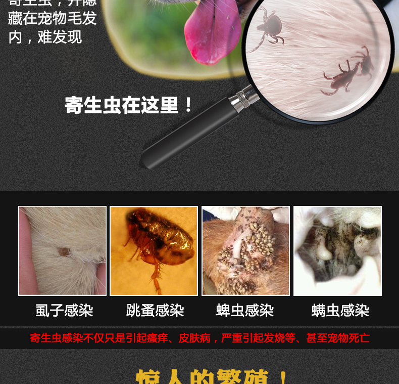 螨 清 Ngoài bọ ve 蚤 蚤 蚤 止 止 止 泰 - Cat / Dog Medical Supplies 	đầu kim tiêm thú y	