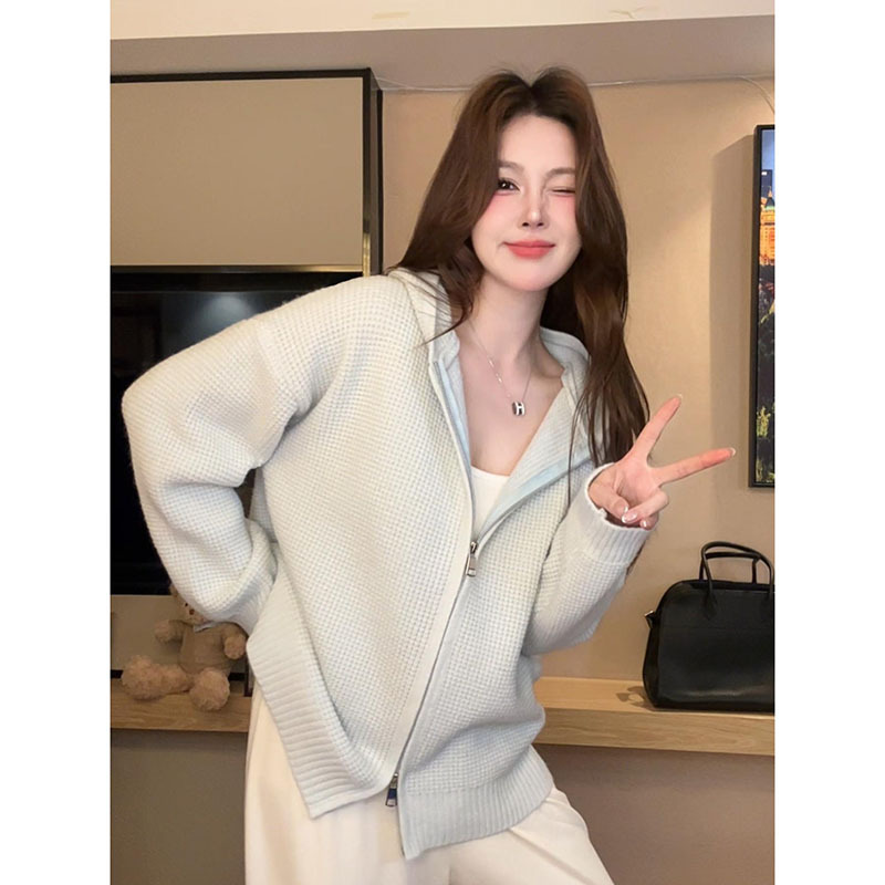 Casual Style Zip-Up Hooded Knit Cardigan for Moms, Suitable for Breastfeeding, Plus-Size Autumn and Winter Postpartum Nursing Top