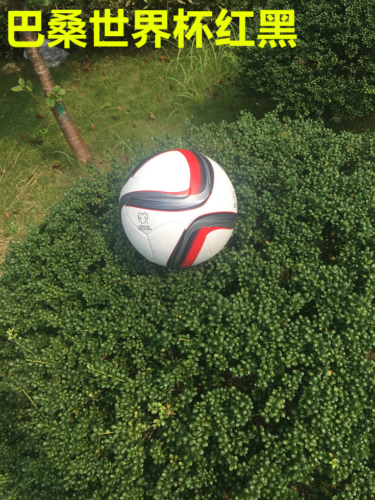 Ballon de foot - Ref 6575 Image 10