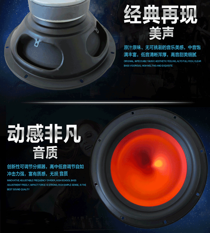 Loa siêu trầm âm thanh loa 10 inch 12 inch Loa xe hơi thuần chuyển đổi âm trầm kệ sách loa công suất cao - Âm thanh xe hơi / Xe điện tử loa xe ô tô