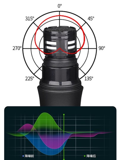 专业无线话筒防啸叫一拖二家用唱歌会议酒馆KTV卡拉OK演出麦克风
