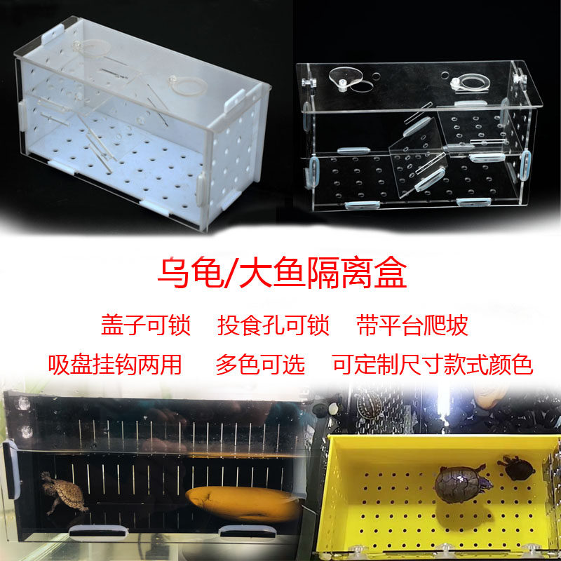 Turtle Isolation Box Bring Own Sundae Water Group Acrylic Isolated Case Turtle Rearing Box Isolated Box Shrimp Crab Isolation Box