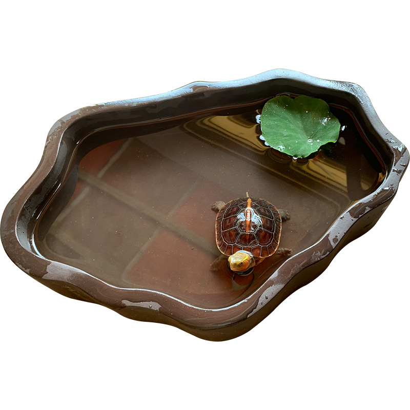 Yellow-edge turtle Bath Box Turtle Anyuan side half-water turtle climbing pet drinking basin Yellow-edge closed shell turtle feeding Basin