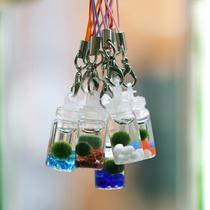 Marimo Seaweed Ball Eco Bottle Small Pendant Ornament Gift Student Mini Green Plant Aquatic Balls Algae Green Algae Bio