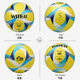 WITSS Свидетель свидетелей футбола детей первичной и средней школы Специальный бал № 4 для взрослых молодежных средней школы вступительный экзамен