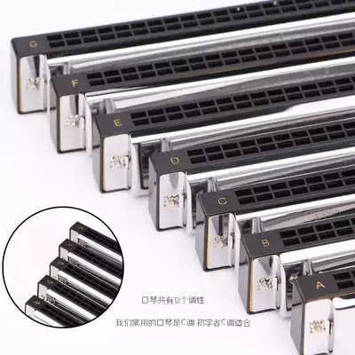 Swan 24-hole polyphonic adult beginner playing harmonica A B C D E F G A# C# D# F# G#