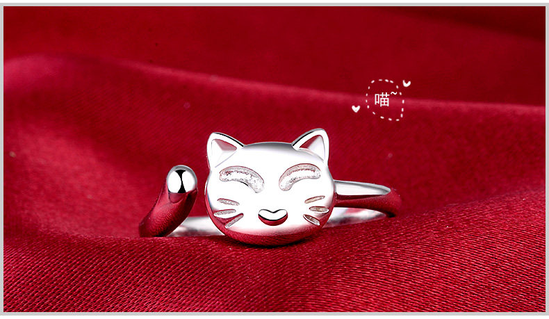 Bague mixte en Argenterie - Ref 3087491 Image 28