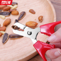 Pumpkin seeds lazy artifact stainless steel household watermelon seed pliers peel peanut pine nuts shell peeler nut clip