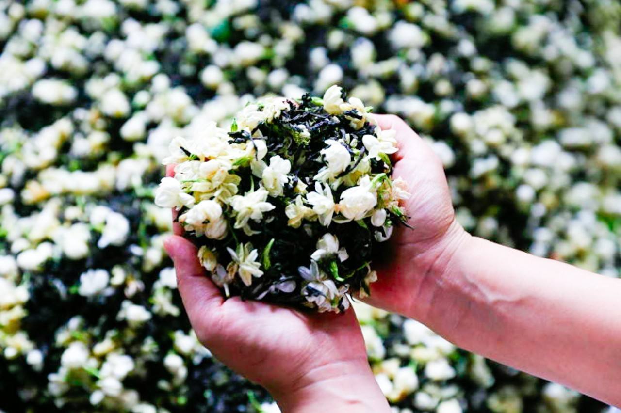 什么茶不能用开水泡?大家不要再被骗了!