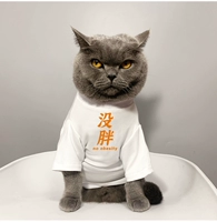 Белый (не толстый)