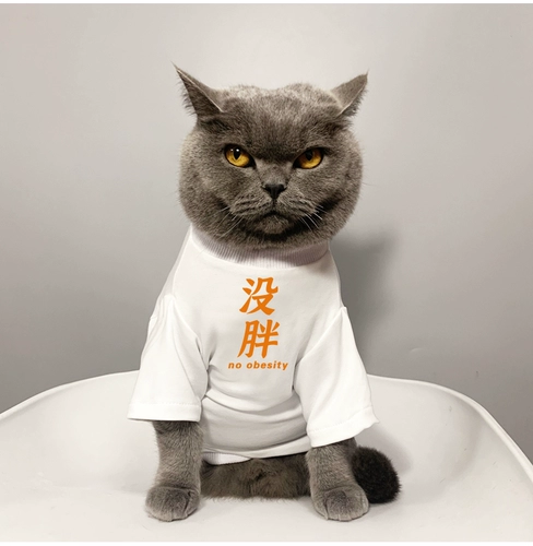 Pet Cat Bichin маленькая щенка одежда для кошачья одежда толстовка весна и лето с короткими рукавами.