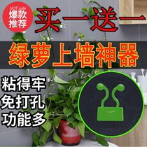 Rattan wares Green buckles vines invisible non-perforated green plants climbing vines sticky hooks climbing walls
