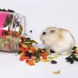 Маленький хомяк закуски комбинация упаковки фруктов из шлифования зубные орехи питание