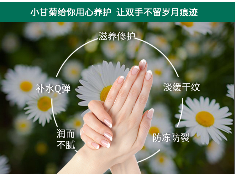 德国进口 贺本清 小甘菊滋润护手霜 75ml*3支 图4