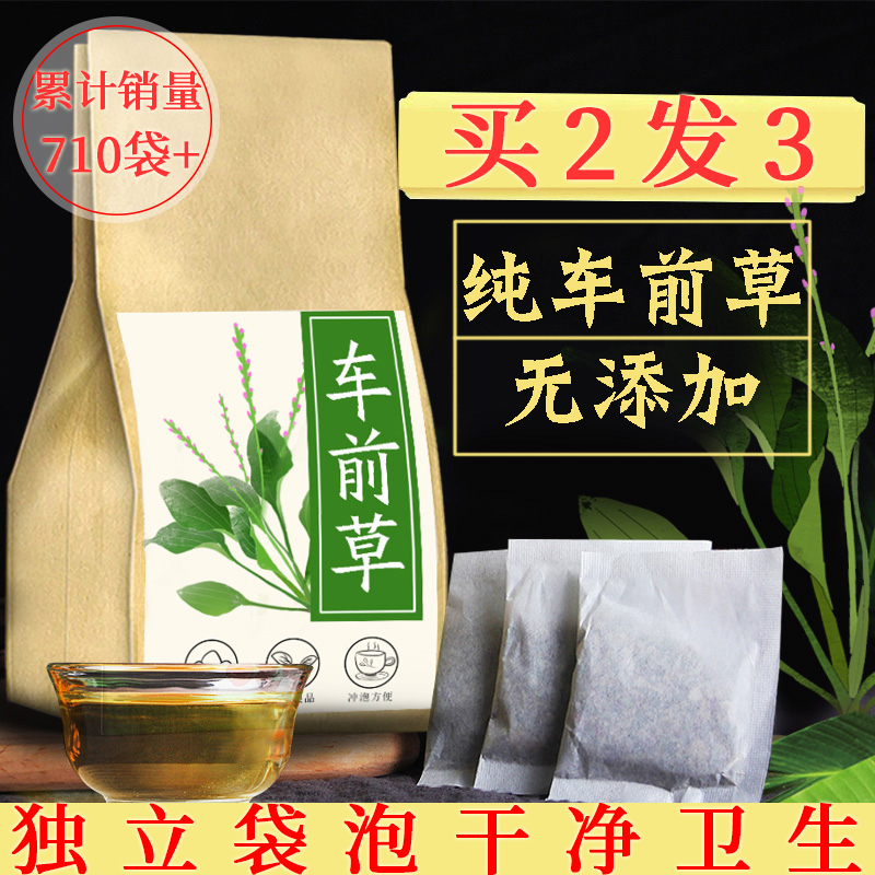 Wild New Plantain Tea Authentic Plantain Wild Fresh Plantain Tea 1 bag 40 packs